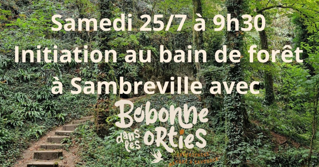 Initiation au bain de forêt