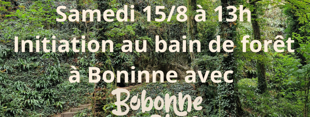 Initiation au bain de forêt