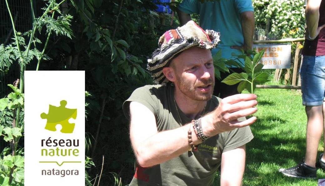 Formation en ligne - juillet : Initiation aux plantes comestibles et médicinales