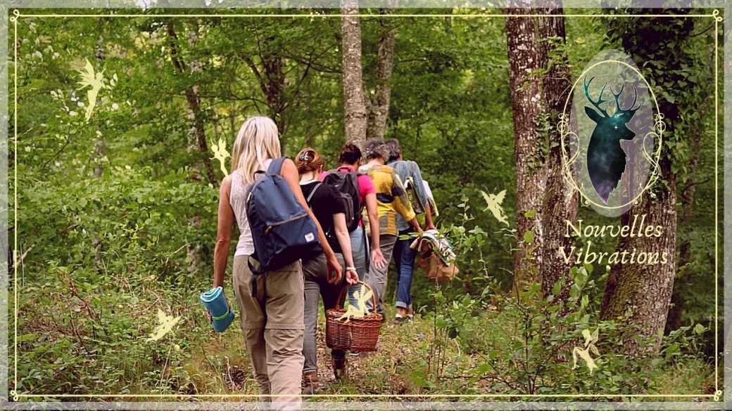 Initiation en forêt - Communiquer avec l'invisible