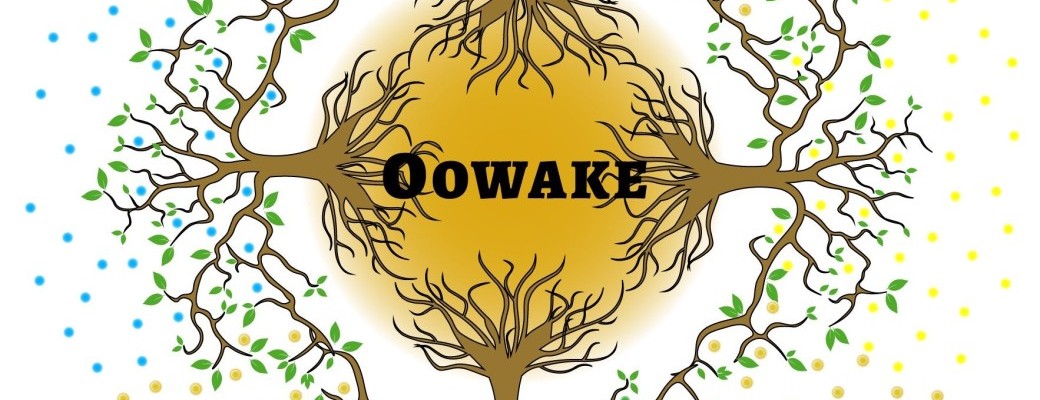 Initiation et transmissions aux soins isis triangle d or mars 26