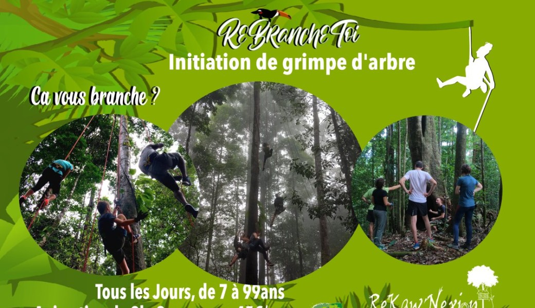 Initiation Grimpe d'arbre à Rekawnexion 2026