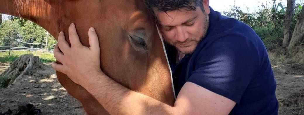 REPLAY : Initiation l'Art d'Apaiser le Cheval