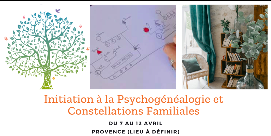 Initiation vers la psychogénéalogie & constellations familiales