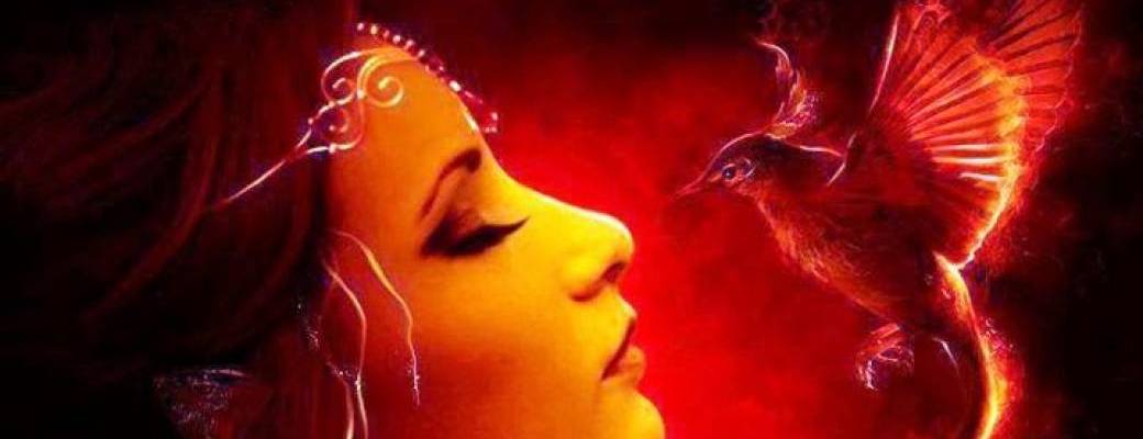 Connexion à SOI  Connexion à SOI