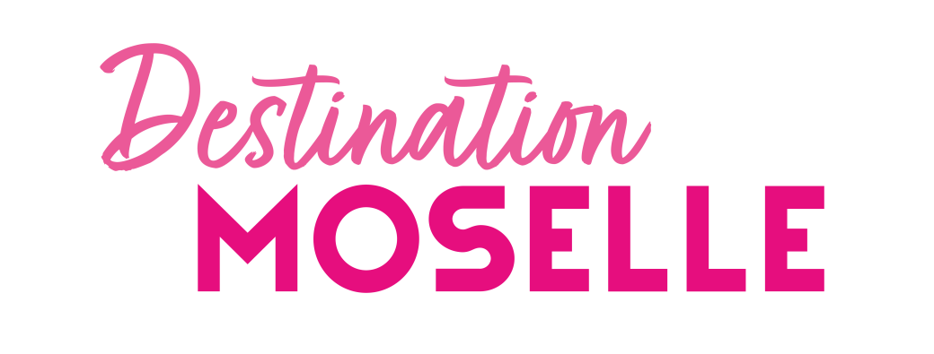 Inscription Webinaire | Enquete Marketing des Clienteles 2024 - 2025 Moselle