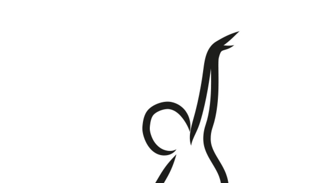Inscription danse 2025-2026