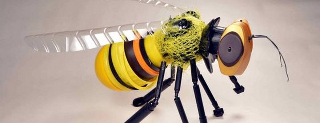 Insectes géants