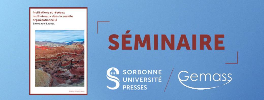 Institutions et réseaux multiniveaux dans la société organisationnelle