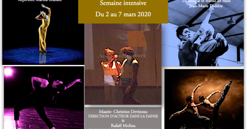 « Chorégraphies d’action » Laboratoire Intensif ActDance