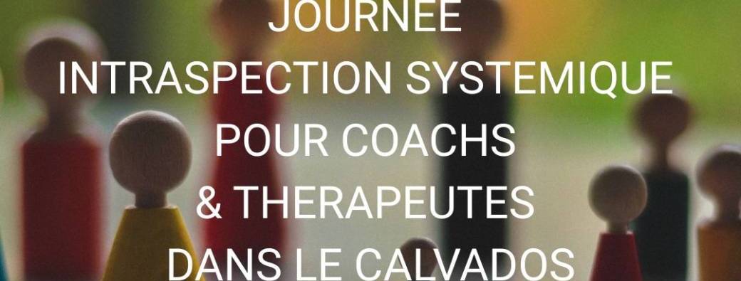 Intravision Systémique J1