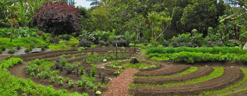 Introduction à la Permaculture