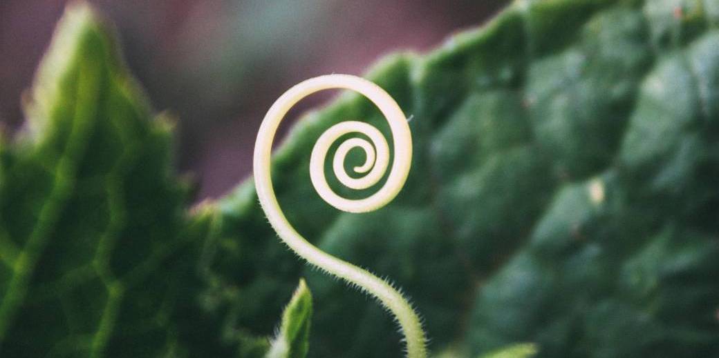 Introduction à la Spirale Dynamique