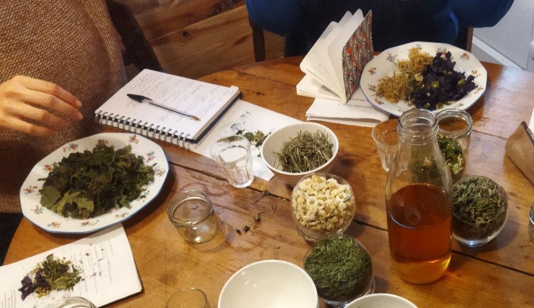  Introduction à l'herboristerie 1 : les règles de base de l'association de plantes sèches