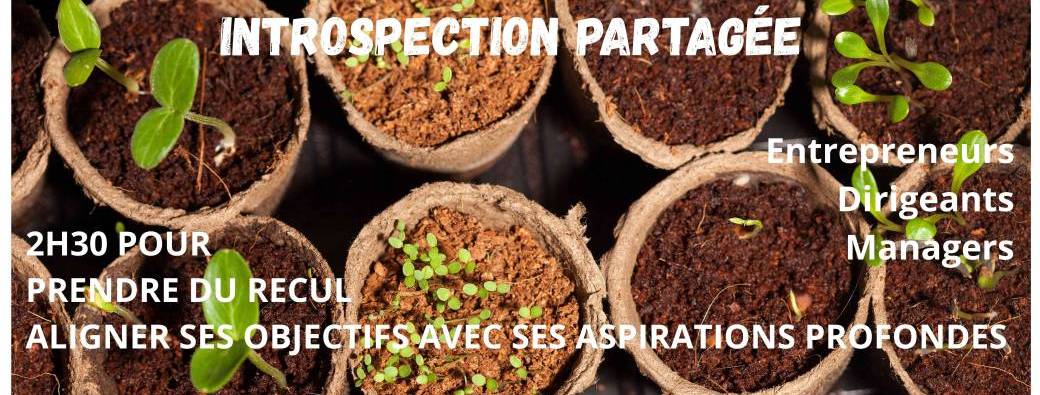 Introspection partagée