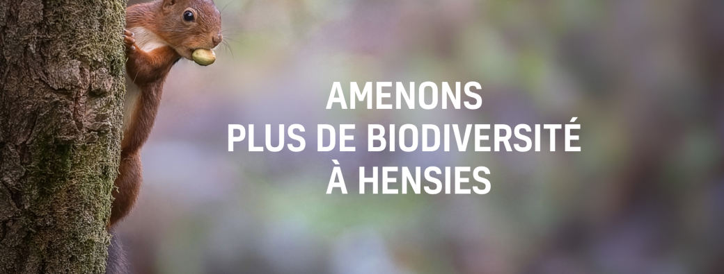 Invitez la biodiversité d'Hensies dans votre jardin ! 