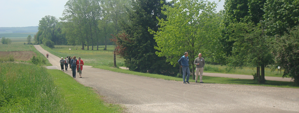Accompagner les catéchumènes – Parcours d’initiation