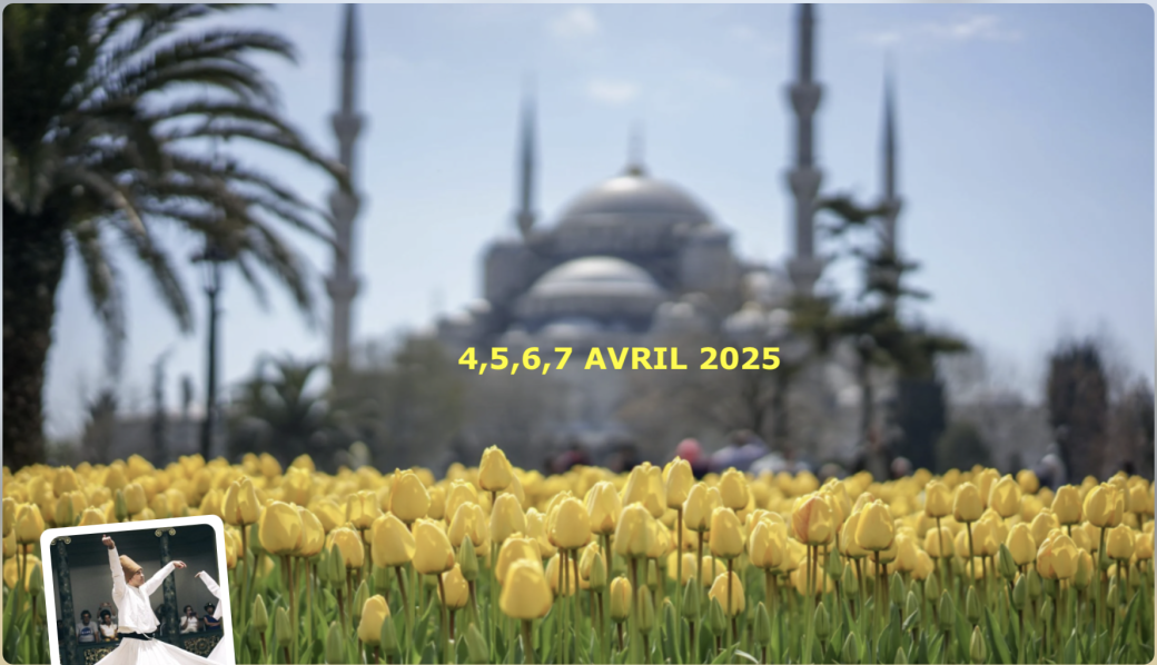 ISTANBUL - festival de la tulipe 