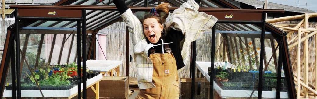 J’apprends à avoir la main verte pour mes plantes d’intérieur 