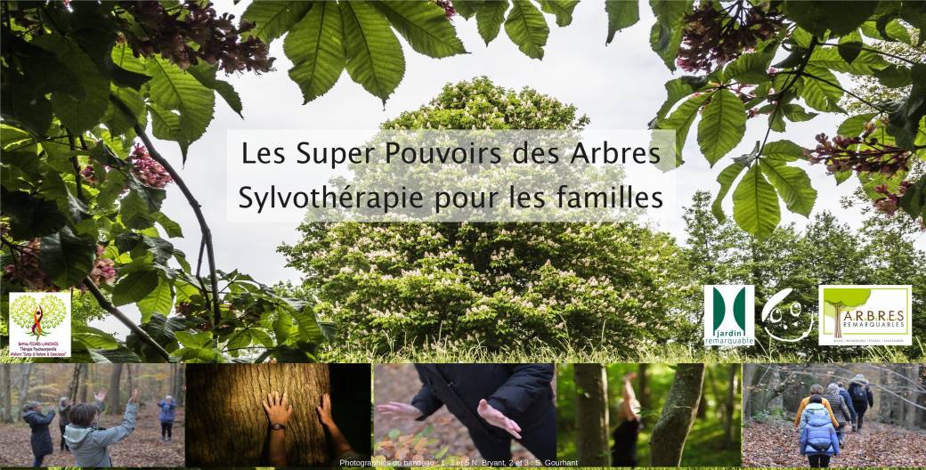 Jardin à Lucy (76) - Les Super Pouvoirs des Arbres - Sylvothérapie en famille