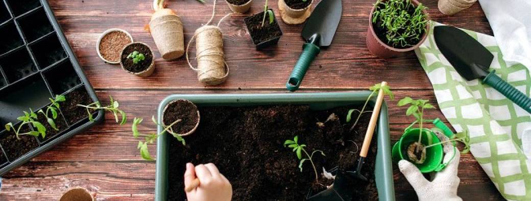 Atelier semis et goûter au jardin
