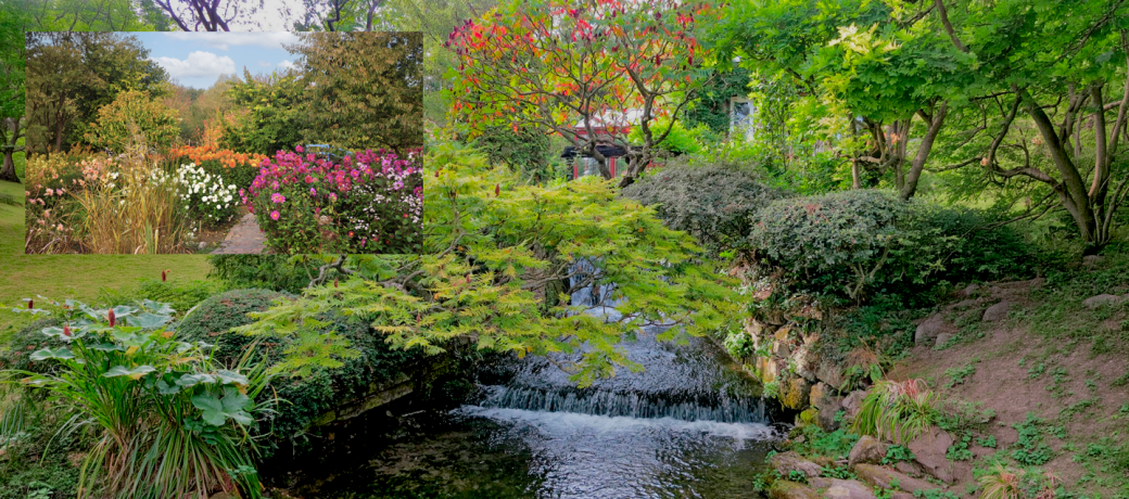 Binche Carnival - Belgium