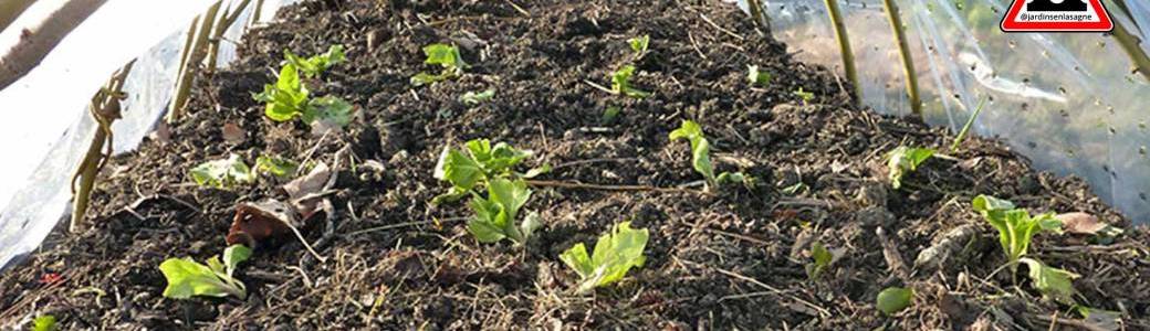 Jardin en lasagne d'automne, technique de conception.