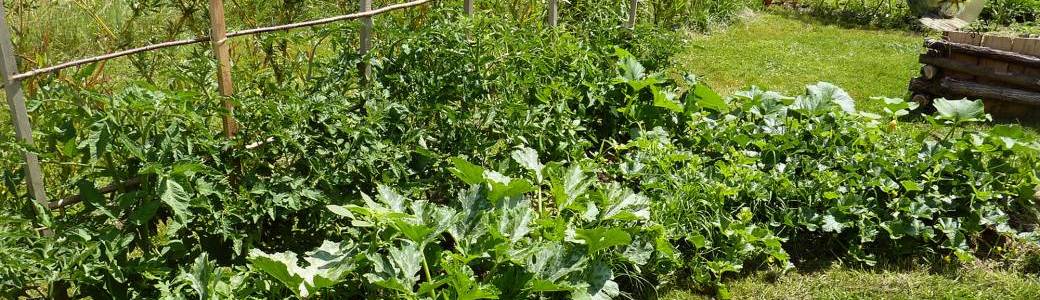 Jardin en lasagne, technique de conception.