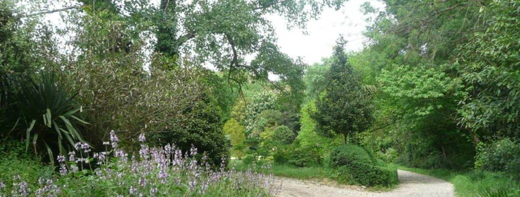 Le jardin de la Font de Bezombes