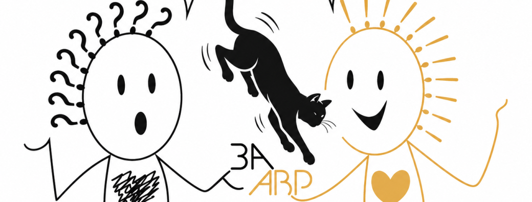 Je choisi la formule "Flash cat"
