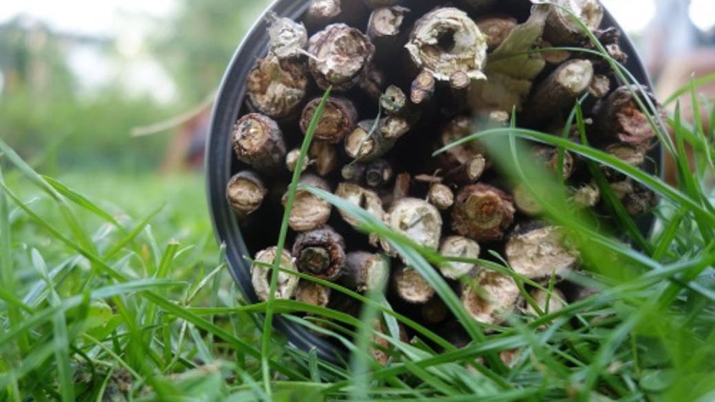 Je fabrique mon hôtel à insectes 