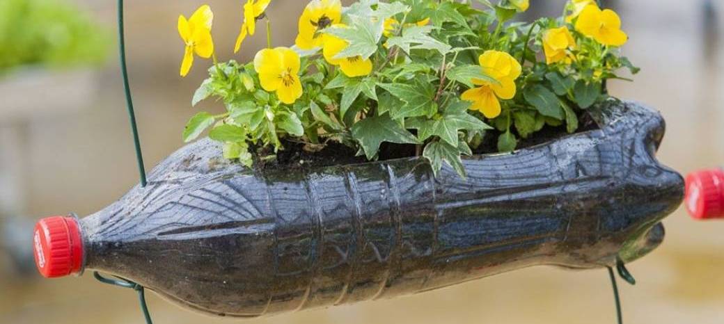 Je fabrique mon petit mur végétalisé 