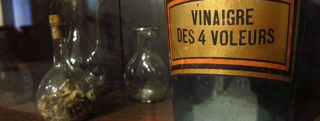 Je me prépare à l'hiver avec les plantes/ Atelier Vinaigre des 4 voleurs