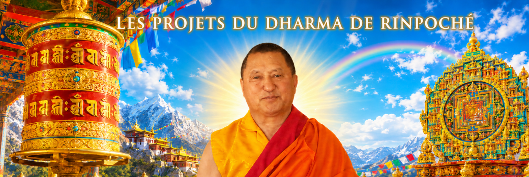 Ensemble, autour des projets du Dharma de Rinpoché