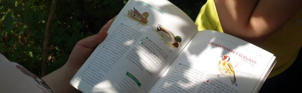 Je préserve la vie des oiseaux