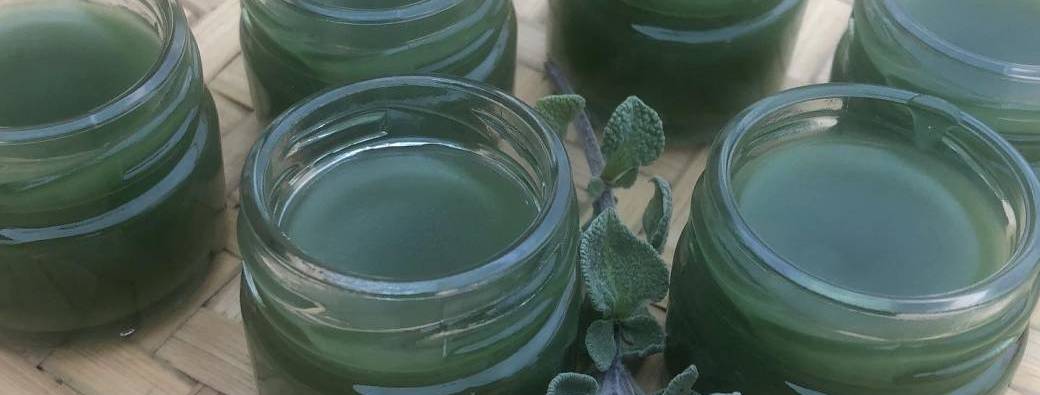 Je protège mon système respiratoire avec les plantes/ Atelier Baume imitation pot bleu.