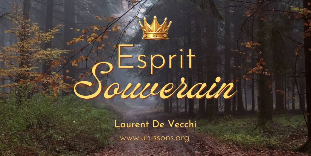 Je reprends les rênes de mon existence - Retour dans la Souveraineté de l'Esprit Pur