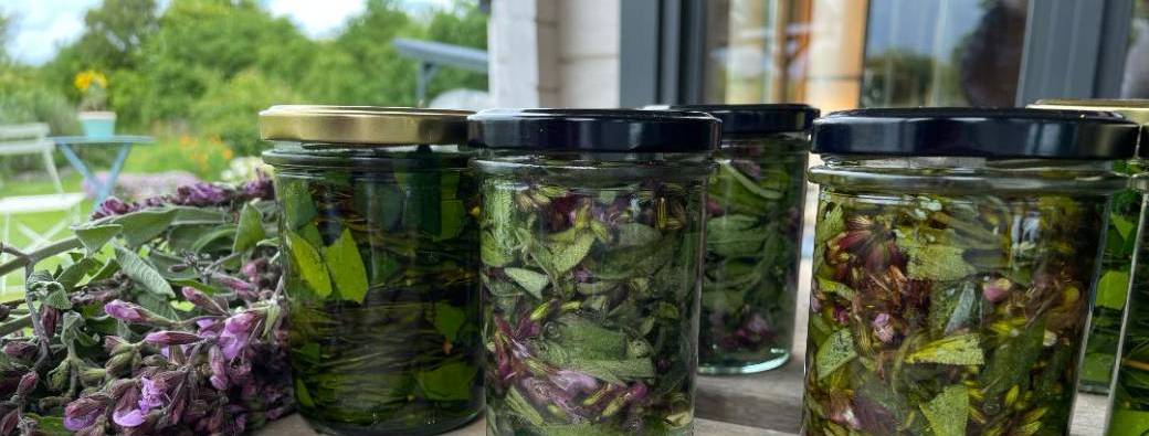 Je stimule mon système lymphatique avec les plantes/Atelier extrait hydro alcoolique pour drainer 