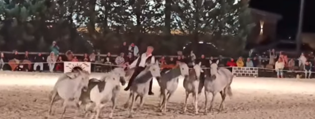 Jean François Pignon à Figanières 