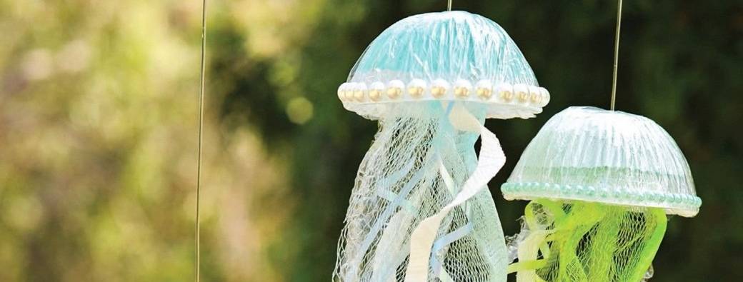 Jellyfish
