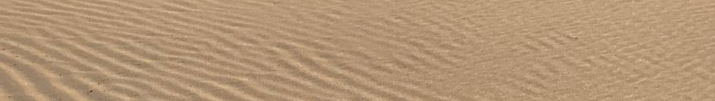 Séance individuelle de coaching