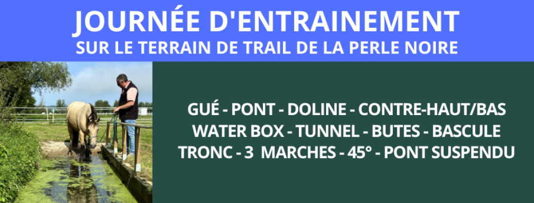 JOURNÉE D'ENTRAINEMENT - Terrain de trail de l'écurie de la Perle Noire