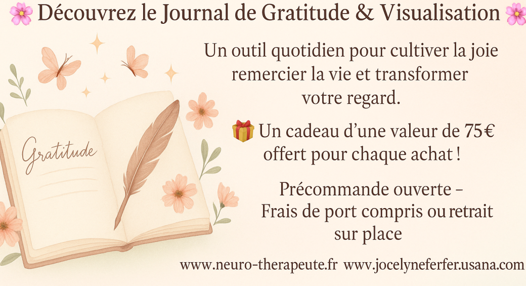 Journal de gratitude et de visualisation