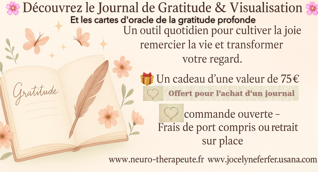 Journal de gratitude et de visualisation Journal de gratitude et de visualisation