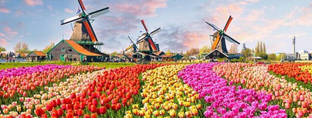 Journée à Keukenhof et Amsterdam