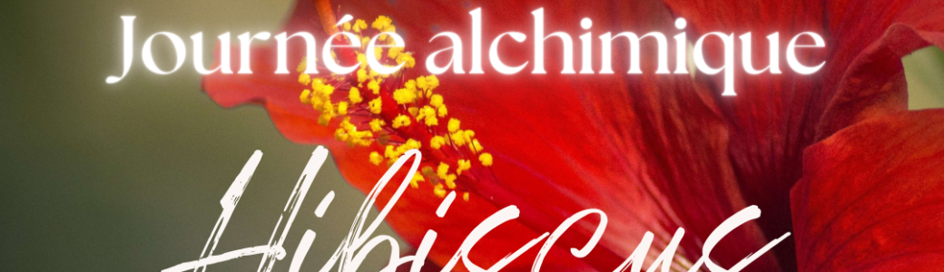 Journée alchimique Hibiscus