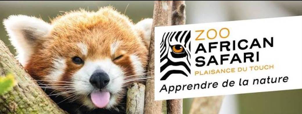 Journée au zoo - Toulouse