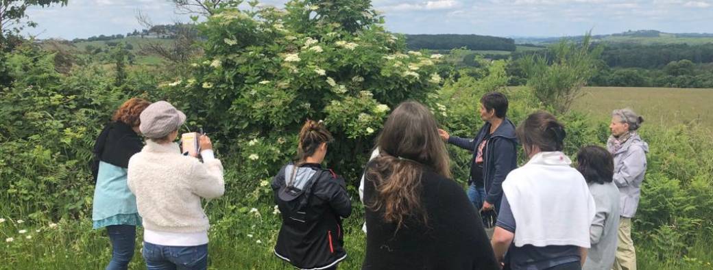 Journée balade Plantes de l'Aubrac