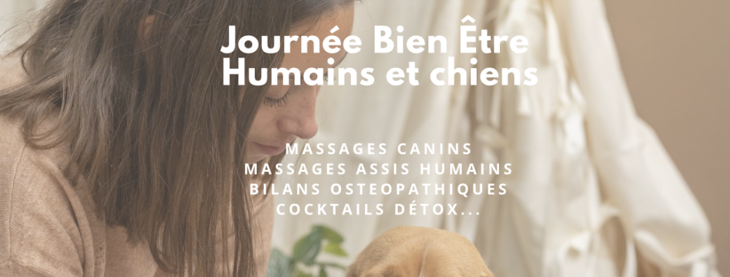 Journée bien être - Dogparents & chiens