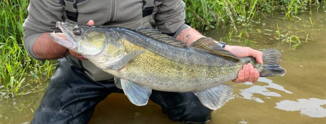 Journée carnassiers aux leurres